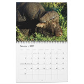 Wilde Tiere von Afrika Kalender (Feb 2027)