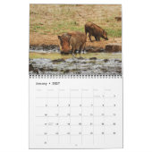 Wilde Tiere von Afrika Kalender (Jan 2027)