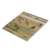 Wilde Tiere, Zebras und Giraffen Fliese (Seite)