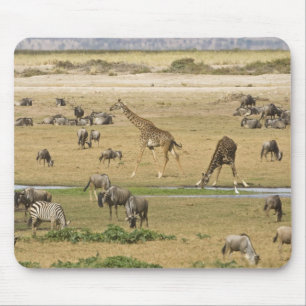 Wilde Tiere, Zebras und Giraffen Mousepad