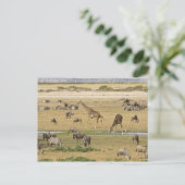 Wilde Tiere, Zebras und Giraffen Postkarte (Stehend Vorderseite)