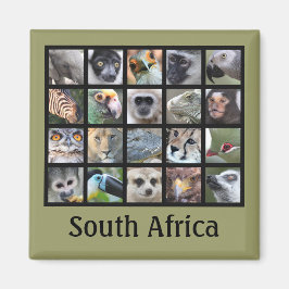 Wilde Tierfalle — Säugetiere, Reptilien, Vögel Magnet