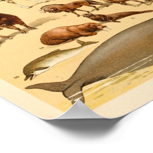 Wilde Tiersammlung Elephant Giraffe Kunst Poster (Ecke)