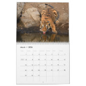 Wilde Tiger im Indischen Kalender (Mär 2026)