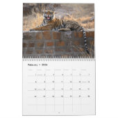 Wilde Tiger im Indischen Kalender (Feb 2026)