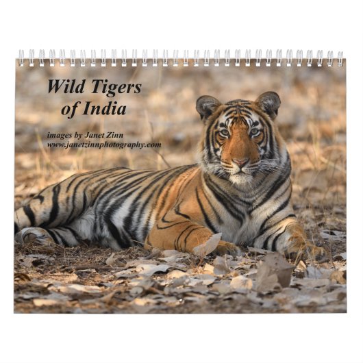 Wilde Tiger im Indischen Kalender (Titelbild)