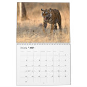 Wilde Tiger im Indischen Kalender (Jan 2027)