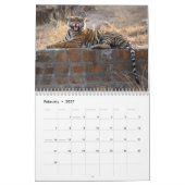 Wilde Tiger im Indischen Kalender (Feb 2027)