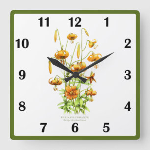 Wilde Tiger Lily Blume Botanische Kunst Quadratische Wanduhr