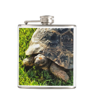 Wilde Tortoise im Gras Wiesen Kunst, Dichtung und Flachmann