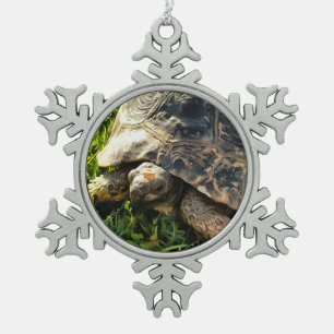 Wilde Tortoise im Gras Wiesen Kunst, Dichtung und Schneeflocken Zinn-Ornament