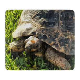 Wilde Tortoise im Gras Wiesen Kunst, Dichtung und Schneidebrett