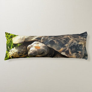 Wilde Tortoise im Gras Wiesen Kunst, Dichtung und  Seitenschläferkissen