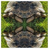 Wilde Tortoise im Gras Wiesen Kunst, Dichtung und Stoff (Muster)