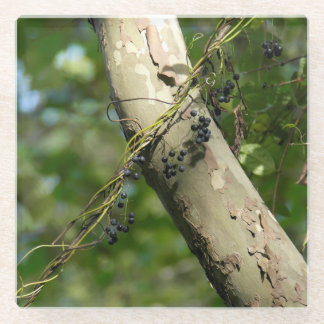 "Wilde Trauben-" ursprüngliche Kunst durch KAS Glasuntersetzer