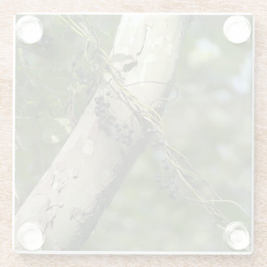 "Wilde Trauben-" ursprüngliche Kunst durch KAS Glasuntersetzer (Rückseite)