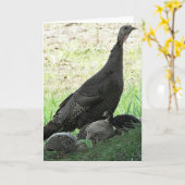 Wilde Trukeys Karte (Gelbe Blume)