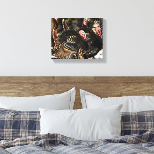 Wilde Trukeys Leinwanddruck (Insitu (Schlafzimmer))