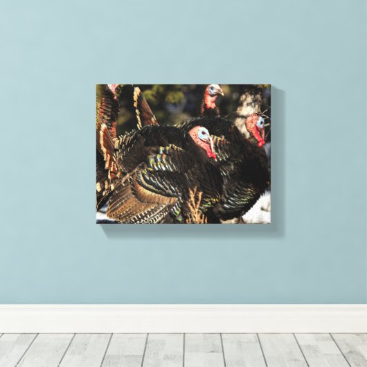 Wilde Trukeys Leinwanddruck (Insitu (Holzboden))