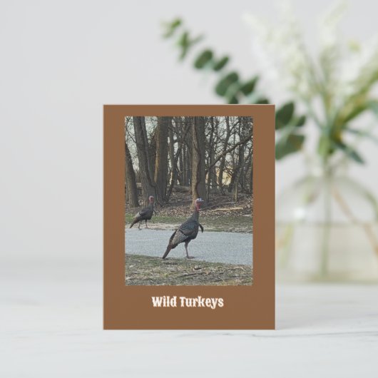 Wilde Trukeys Postcard Postkarte (Stehend Vorderseite)