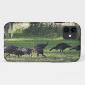 Wilde Truthähne auf dem Gras-Foto Case-Mate iPhone Hülle (Rückseite (Horizontal))