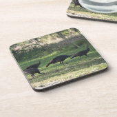 Wilde Truthähne auf dem Grasfoto Getränkeuntersetzer (Linke Seite)