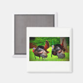 Wilde Truthähne dekoriert Magnet (Vorderseite/Rückseite)