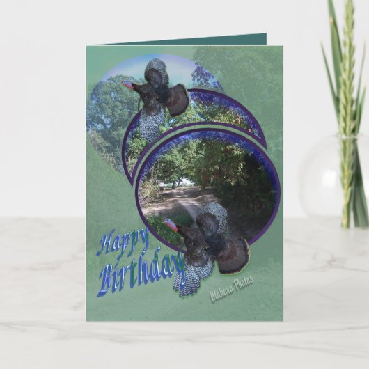 Wilde Truthähne Flug-personifizieren herein Karte (Vorderseite)