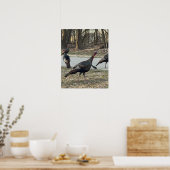 Wilde Truthähne Foto Poster (Küche)