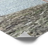 Wilde Truthähne Foto Poster (Ecke)