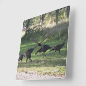 Wilde Truthähne im Gras-Foto Quadratische Wanduhr (Winkel)