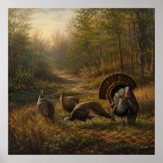 Wilde Truthähne im herbstlichen Wald Poster (Vorne)