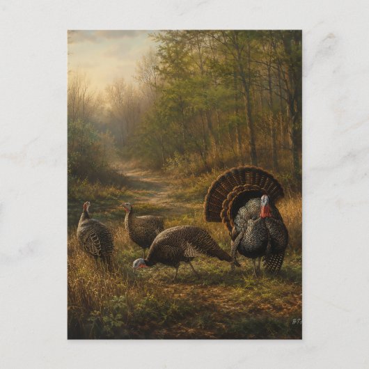 Wilde Truthähne im herbstlichen Wald Postkarte (Vorderseite)