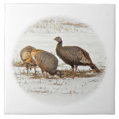 Wilde Truthähne im Schnee Fliese (Vorderseite)