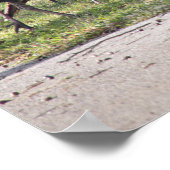 Wilde Truthähne in Grasfotografie-Poster Poster (Ecke)