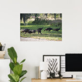Wilde Truthähne in Grasfotografie-Poster Poster (Heimbüro)