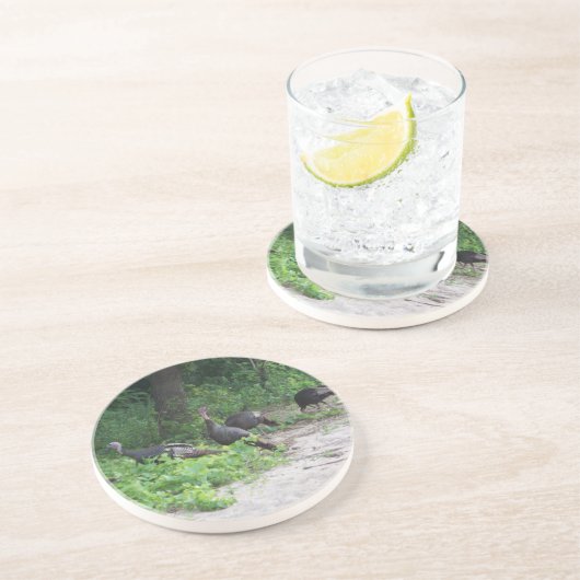 Wilde Truthähne Sandstein Untersetzer (Seite)