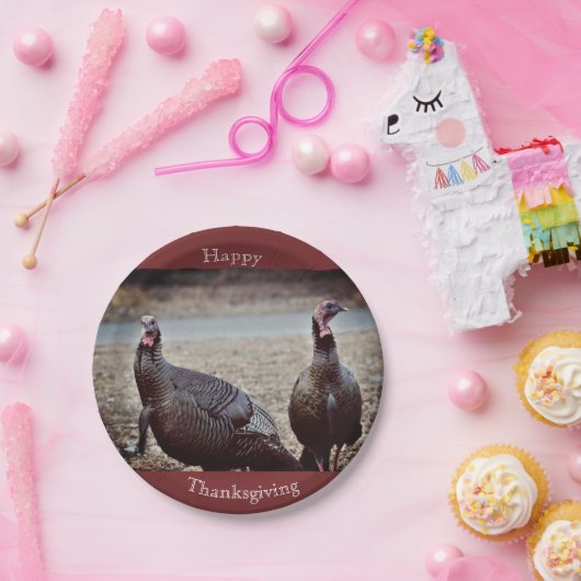Wilde Truthühner-Erntedank Pappteller (Party)