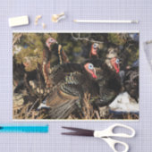 Wilde Truthühner Seidenpapier (Handwerk)