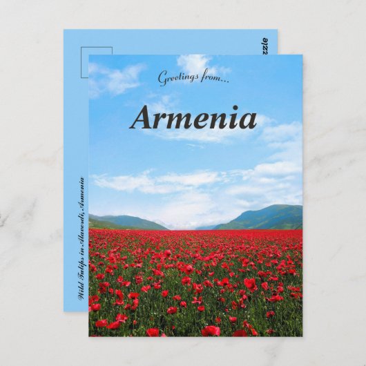 Wilde Tulips in Alaverdi Armenia Postcard Postkarte (Vorne/Hinten)