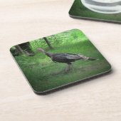 Wilde Türkei auf dem Rasen Untersetzer (Linke Seite)