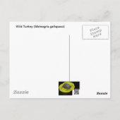 Wilde Türkei auf dem Snowy Field Postkarte (Rückseite)