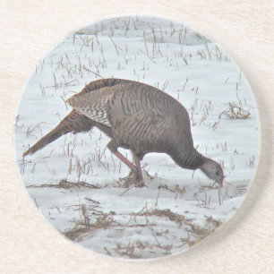 Wilde Türkei auf dem Snowy Field Untersetzer