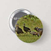 Wilde Türkei, Camouflage Farben Button (Vorne & Hinten)