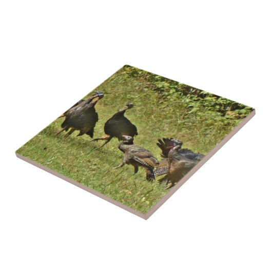 Wilde Türkei, Camouflage Farben Fliese (Seite)