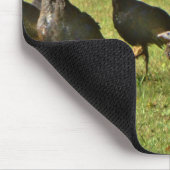 Wilde Türkei, Camouflage Farben Mousepad (Ecke)