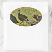 Wilde Türkei, Camouflage Farben Ovaler Aufkleber (Tasche)