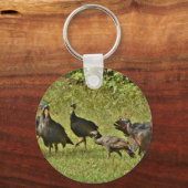 Wilde Türkei, Camouflage Farben Schlüsselanhänger (Vorderseite)