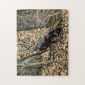 Wilde Türkei in Woods Foto Puzzle mit Geschenkboxe (Vertikal)