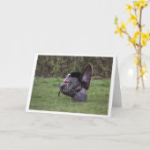 Wilde Türkei Karte (Gelbe Blume)